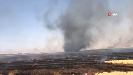Mardin'de anız yangını...Yangın sonrası rüzgarın etkisiyle hortum oluştu
