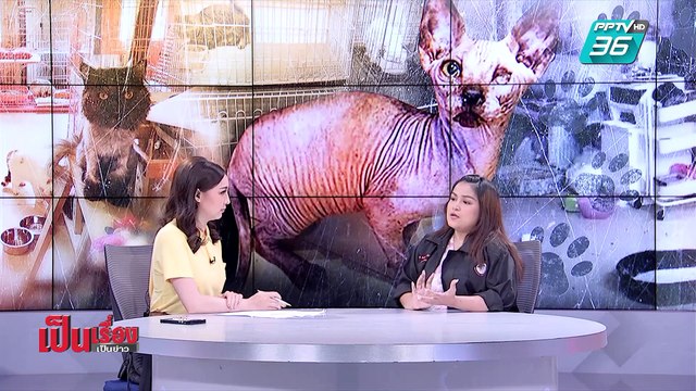 เป็นเรื่อง เป็นข่าว | คดีพลิก ? “คาเฟ่ทารุณแมว” (Full)