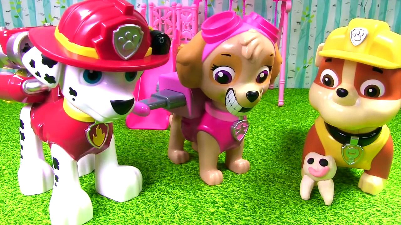 Paw Patrol Skye Loses a Tooth! Dentist Toys - - Vidéo