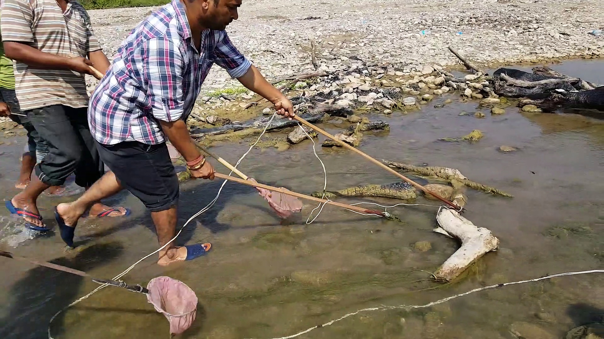 Nepali village Fishing video | Fishing with electricity | village fishing style| fishing with electric shock