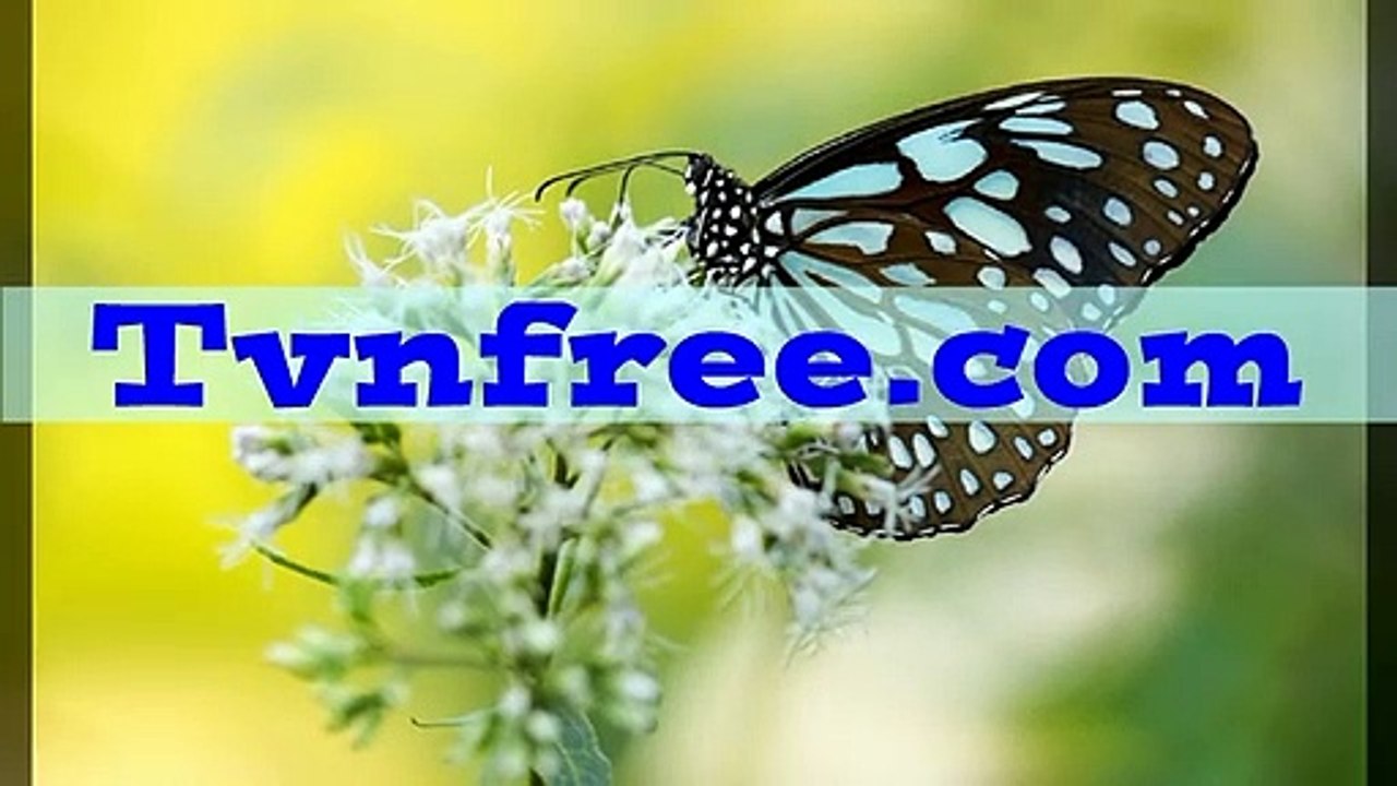 티비앤프리 넷플릭스미드추천 ＜ジ＞ ｔｖｎｆｒｅｅ.COM ＜ジ＞자막사이트 무료tv다시보기