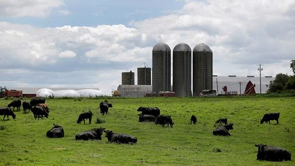 Ε.Ε.- Mercosur: Ιστορική εμπορική συμφωνία