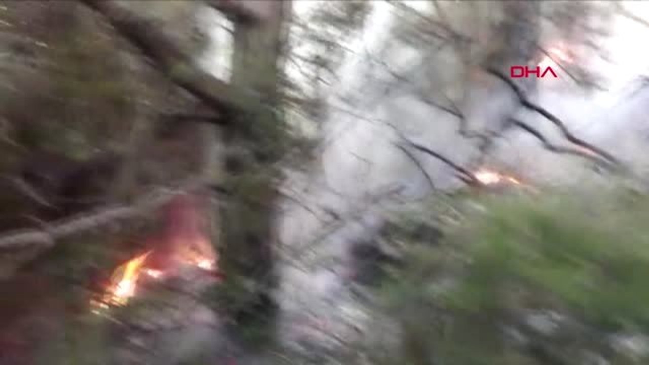 SULTANGAZİ KENT ORMANI'NDA YANGIN