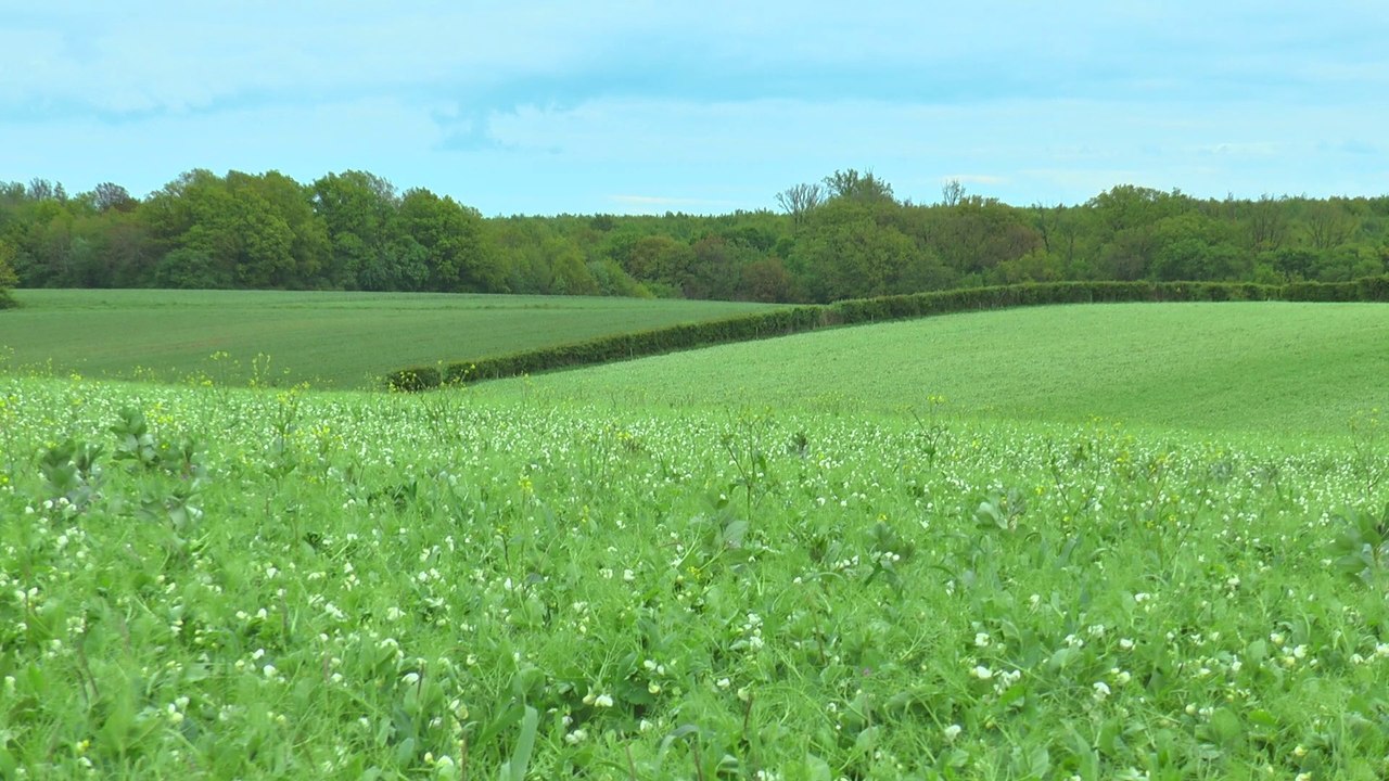 Ferme de Villefroide