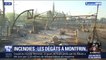 Incendies dans le Gard: les images des dégâts à Montfrin, où 70 hectares sont partis en fumée