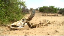 Pakistan drought: Dry weather and water shortages in Tharparkar