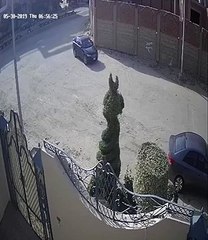 كاميرات المراقبة ترصد المتهمين بسرقة فيلا ابنة أحمد شوبير