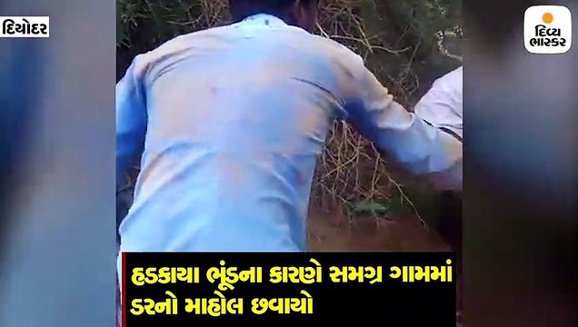 હડકાયા ભૂંડે બે વ્યક્તિ પર હુમલો કર્યો, દેશી બંદૂકથી ફાયરિંગ કરી ઠાર મરાયું