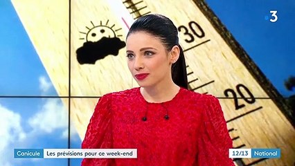 Canicule : la chaleur arrive sur le nord du pays