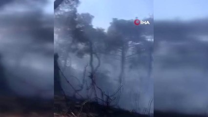 Heybeliada'da yangına karada sıcak müdahale kamerada