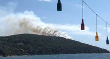 İstanbul Valiliğinden Heybeliada'daki yangınla ilgili açıklama: Kontrol altına alındı