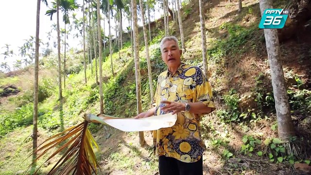 เปิดตำนานกับเผ่าทอง ทองเจือ | ตะนาวศรี เมียนมาร์ (3/4)