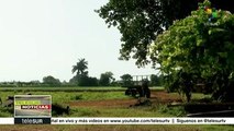 Cuba: CLOC evalúa estado de agricultura campesina en Latinoamérica