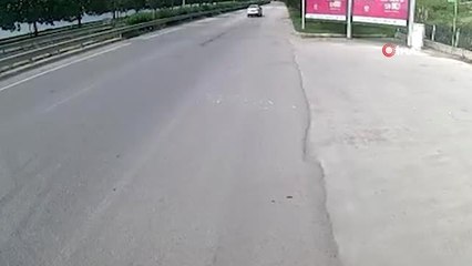 Otobüs sürücüleri, yola düşen yaralı martı ve karganın hayatını böyle kurtardılar