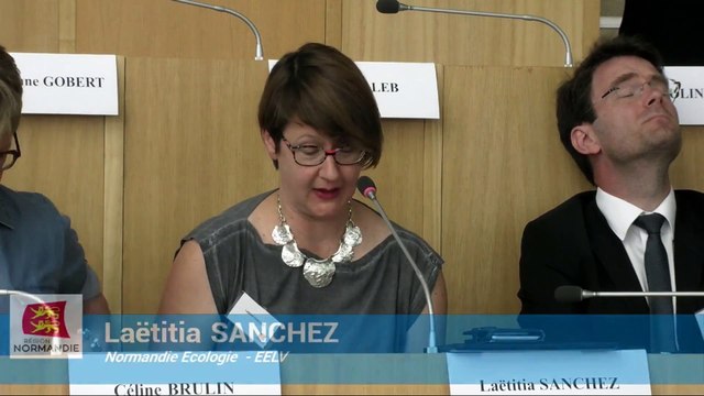 plénière région Normandie - 24 juin 2019 - politique générale, EELV, Laetitia Sanchez