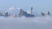 Sydney avvolta dalla nebbia, disagi nel trasporto aereo