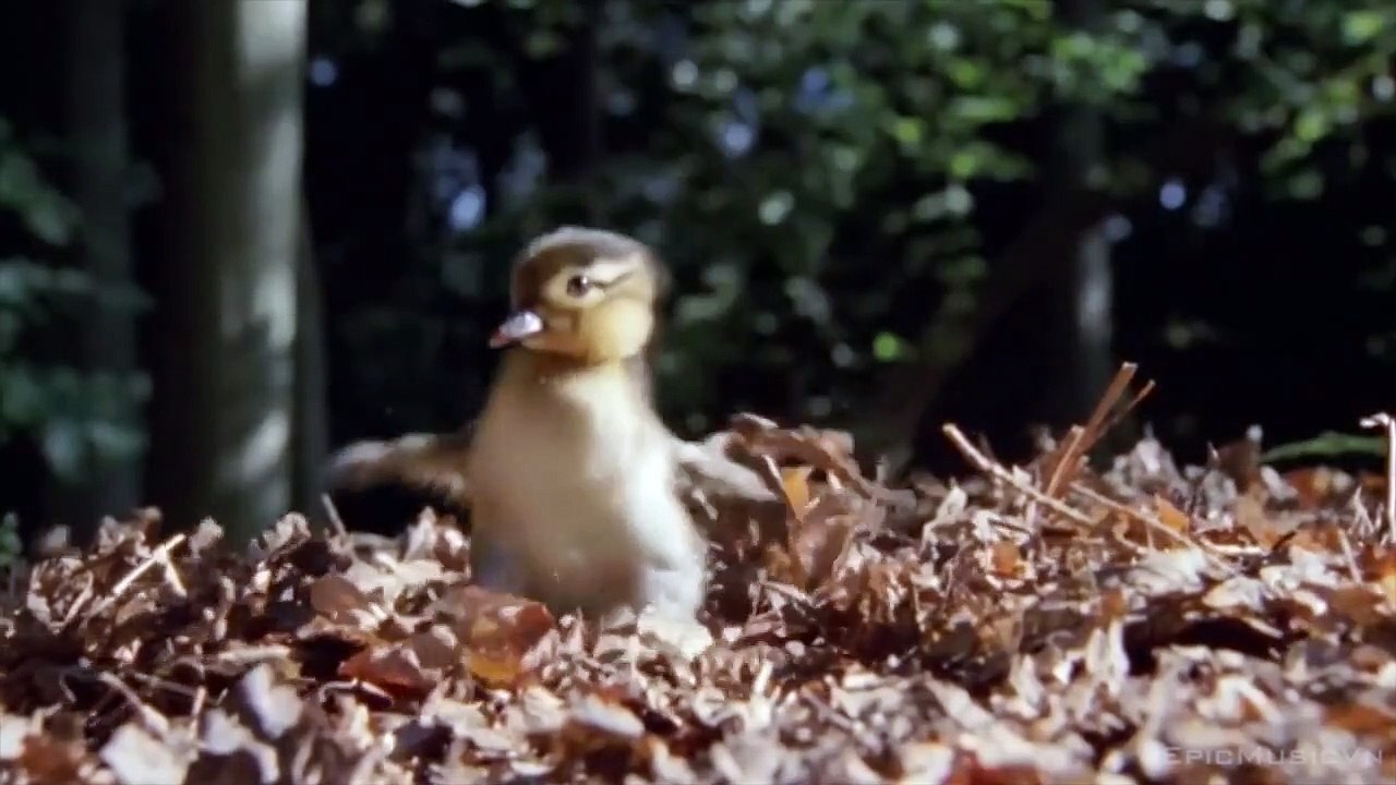 Epic Cinematic | Sergey Saliev - New Era (Epic Fantasy) - Epic Music VN