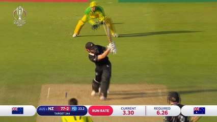 Starc's brilliance sees Australia beat New Zealand