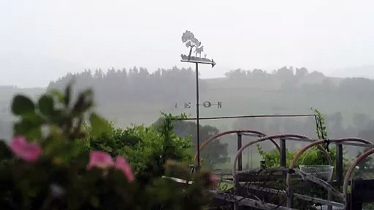 Girouette âne et poule dans le vent