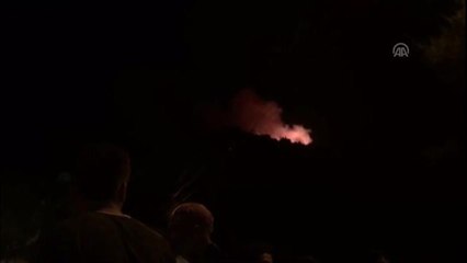 Muğla'da orman yangını(5)