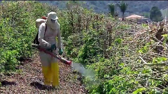 Brasil: El Gobierno acelera la liberación del uso de nuevos agrotoxicos en el pais