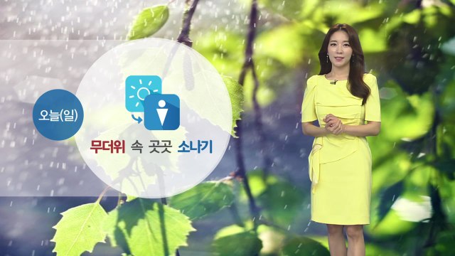 [날씨] 오늘 무더위 속 곳곳에 소나기...우산 챙기세요! / YTN