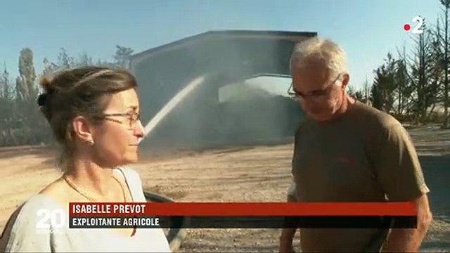 Spéciale Canicule : Les larmes de ces agriculteurs qui ont tout perdu après les incendies liés à la vague de chaleur sur la France