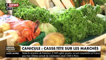 Spéciale Canicule: Sur les marchés, avec la chaleur les clients se détournent des poissons par crainte de rupture de la chaîne du froid