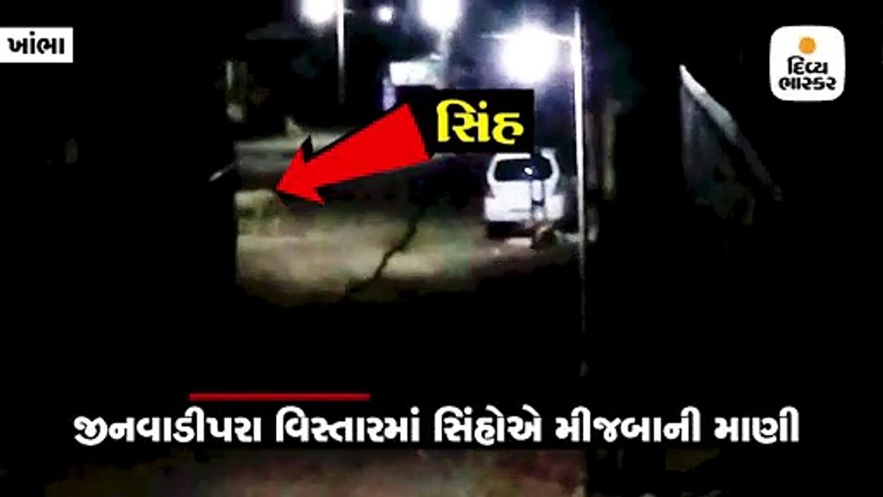 ખાંભાના જીનવાડીપરા વિસ્તારમાં 2 સિંહોએ 6 ગાયનો...