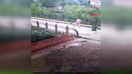 Vicdansızlık! Yavru köpeği faraşa koyup dereye attı