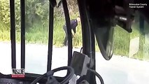 Un chauffeur de bus s'arrête pour aider une tortue à traverser un carrefour en toute sécurité
