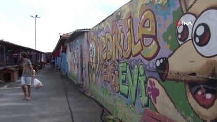 Portekiz'den Yedikule Hayvan Barınağı'na gönüllü yolculuk