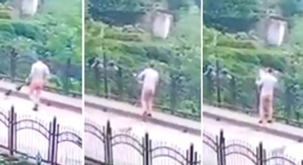 Yavru köpeği dereye fırlattı