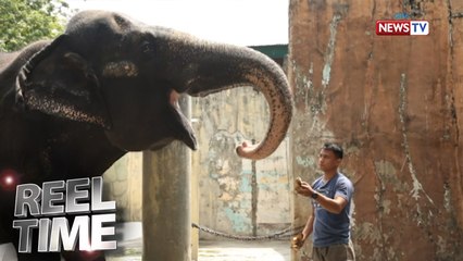 Reel Time: Pagmamahal ng mga tao sa mga hayop sa Manila Zoo, gaano nga ba kalalim?