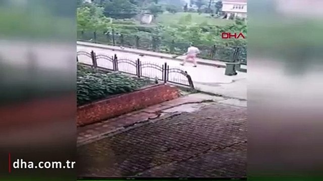 Rize'de köpek yavrusunu dereye atan temizlik işçisine soruşturma