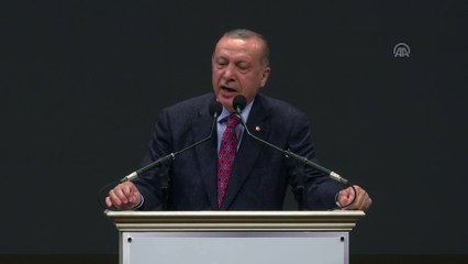 Cumhurbaşkanı Erdoğan: 'Japonya ile sosyal güvenlik anlaşması müzakeresi yürütüyoruz' - NAGOYA