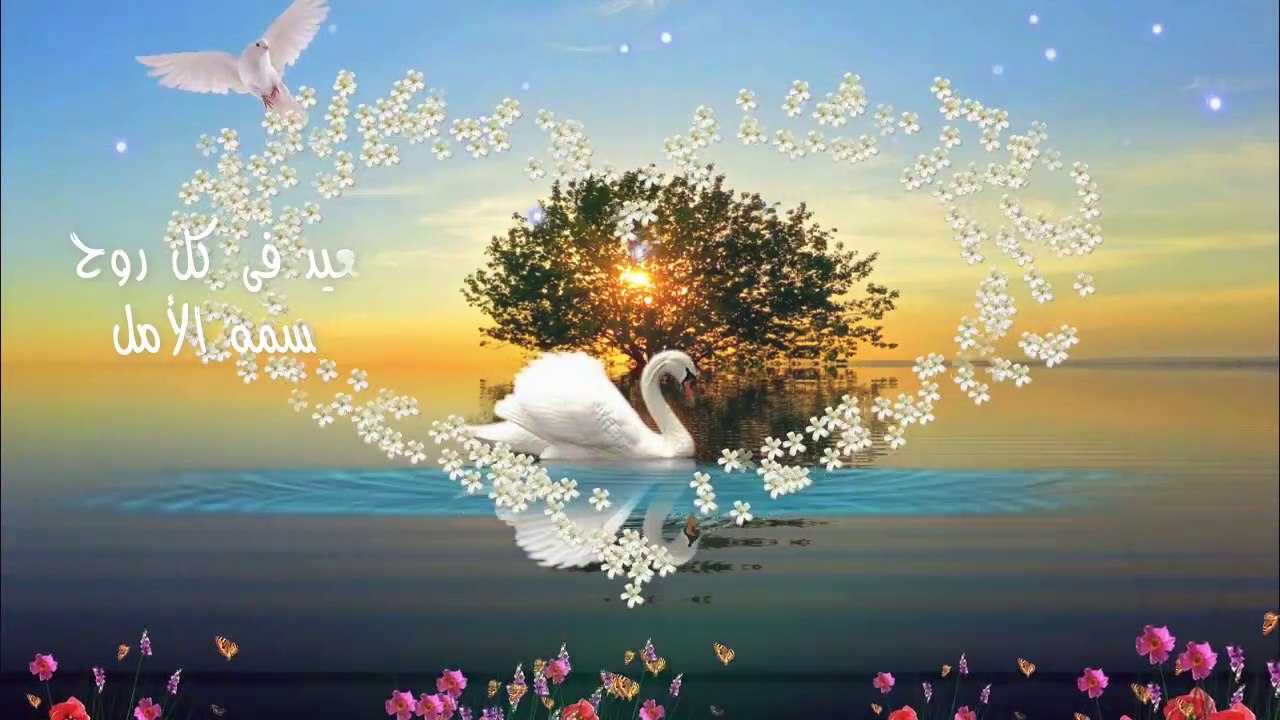 صباح الرقى والجمال