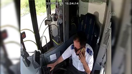 Yaralı kuşlara belediye otobüsü şoförleri sahip çıktı - KOCAELİ