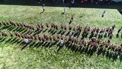 'Kırkpınar zamanı Edirne'de yer bulmak imkansız' - EDİRNE