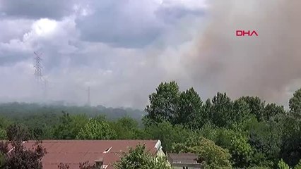 İSTANBUL- SARIYER'DE ORMAN YANGINI