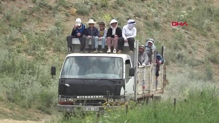 HAKKARİ YÜKSEKOVA'DA YAYLACI KADINLARIN ZORLU MESAİSİ