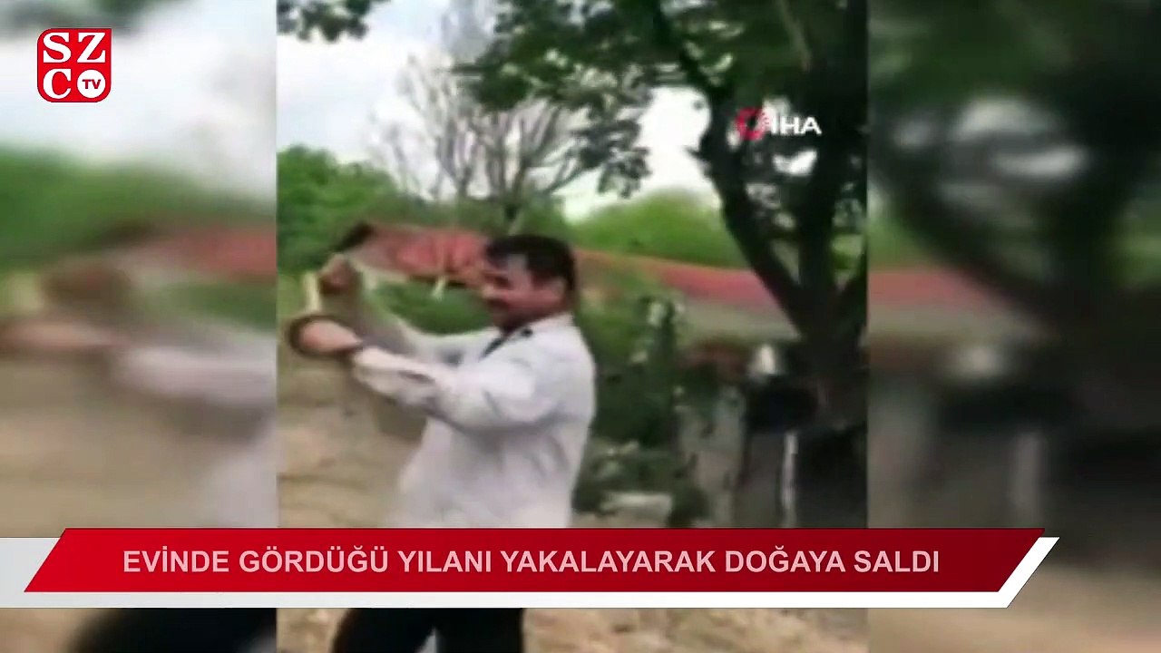 Evinde gördüğü yılanı yakalayarak doğaya saldı