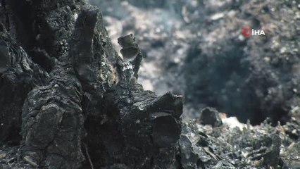 - İspanya Orman Yangınlarıyla Mücadele Ediyor