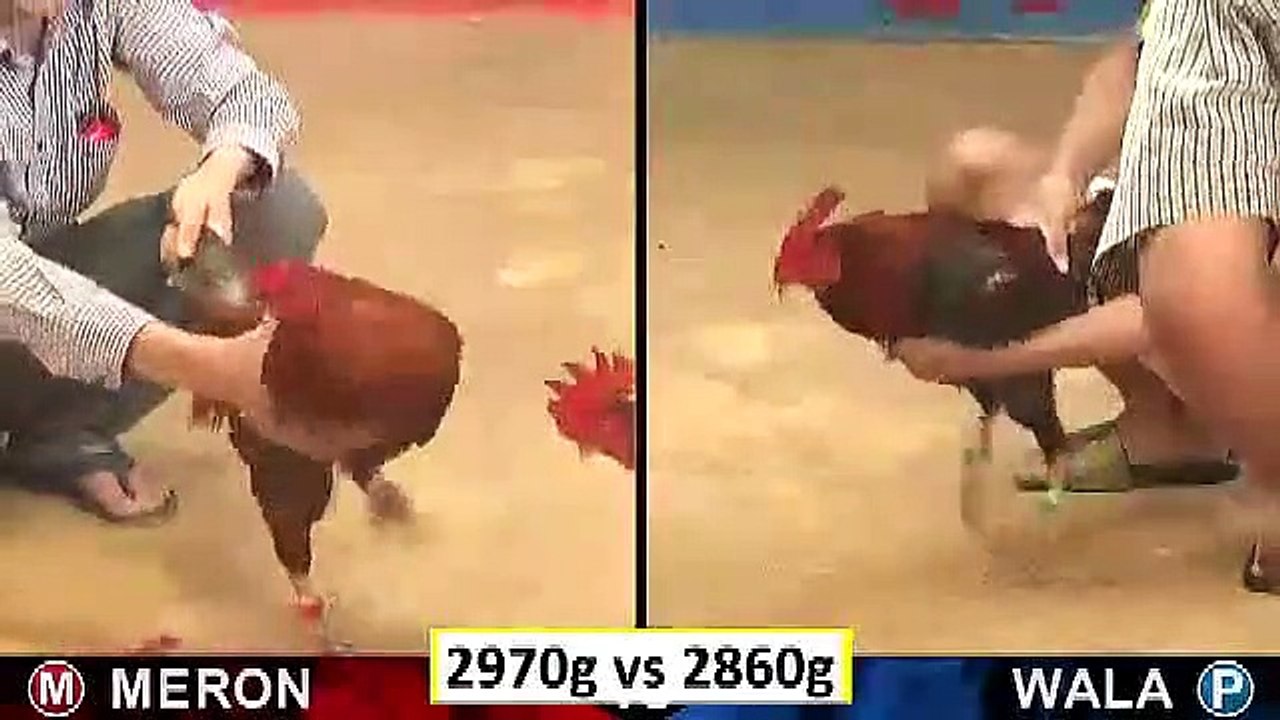 Trận 4