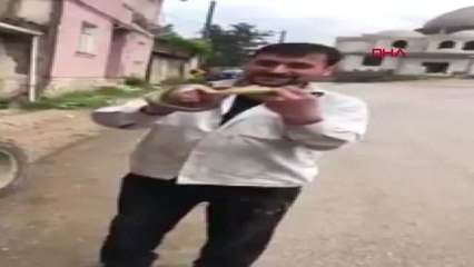 BURSA Çıplak eliyle yakaladığı yılanla oynadı