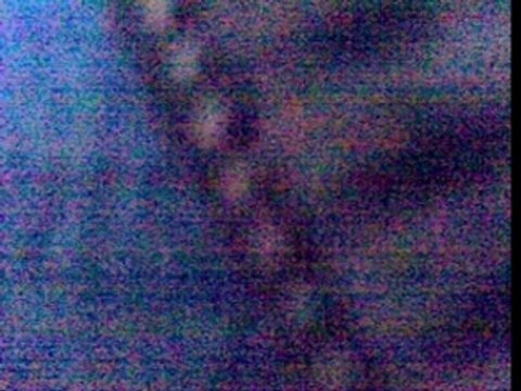 CONCERT INSOLITE AU MUSEE DES BEAUX ARTS DE LILLE