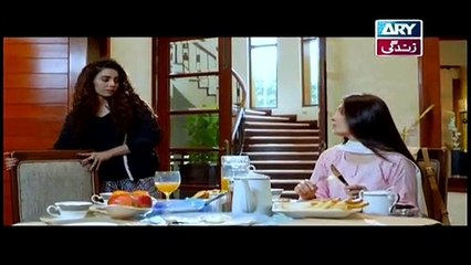 Koi Chand Rakh Episode 14 - Ary Zindagi Drama