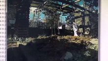 model 3 jitters