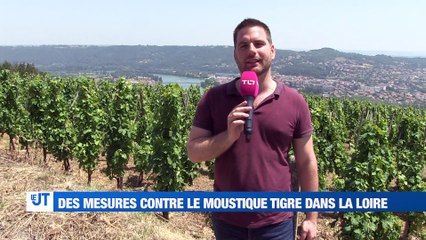 À la UNE : les mesures des collectivités contre les moustiques tigres / le rapport d'activité de la Préfecture pour l'année 2018 / à la découverte d'un nouveau sommelier dans la Loire.