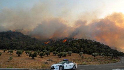 Zerstörung durch Waldbrände in Spanien